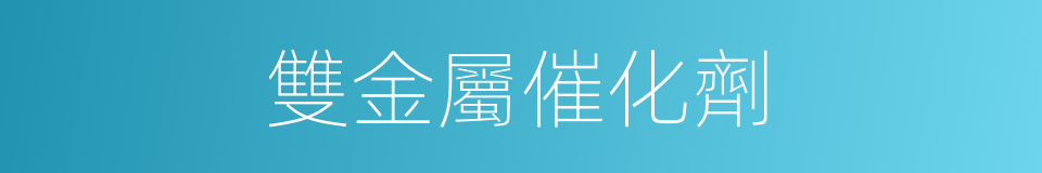 雙金屬催化劑的同義詞