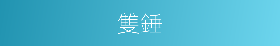 雙錘的同義詞