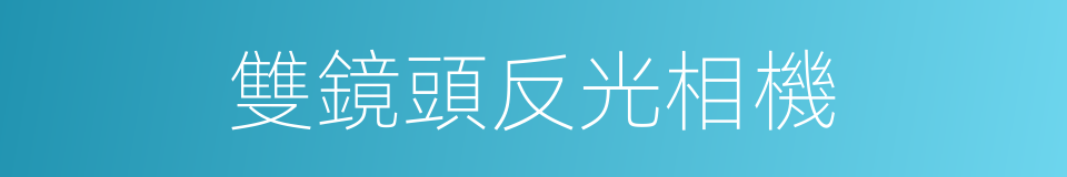 雙鏡頭反光相機的同義詞