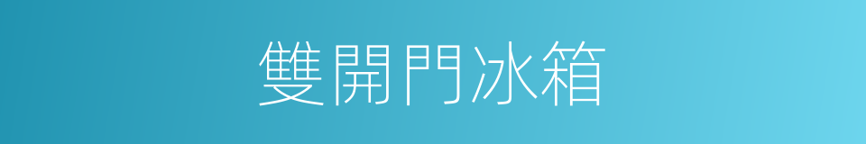 雙開門冰箱的同義詞