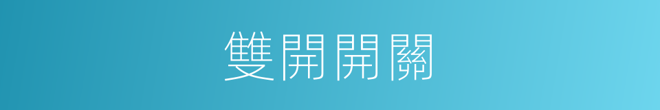雙開開關的同義詞