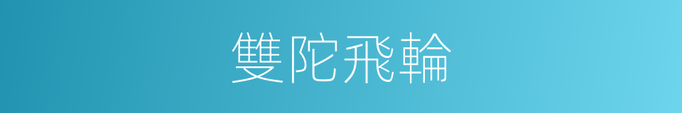 雙陀飛輪的同義詞