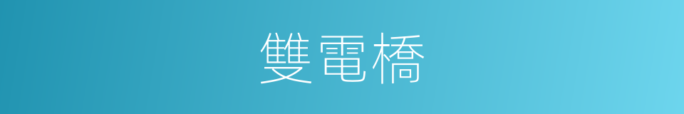 雙電橋的同義詞