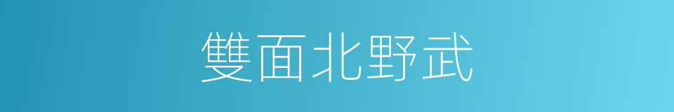 雙面北野武的同義詞