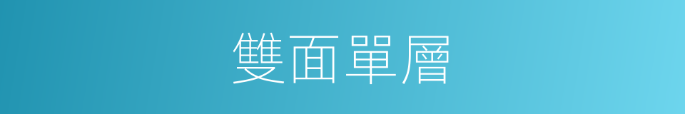 雙面單層的同義詞