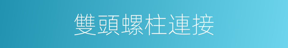 雙頭螺柱連接的同義詞