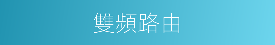 雙頻路由的同義詞