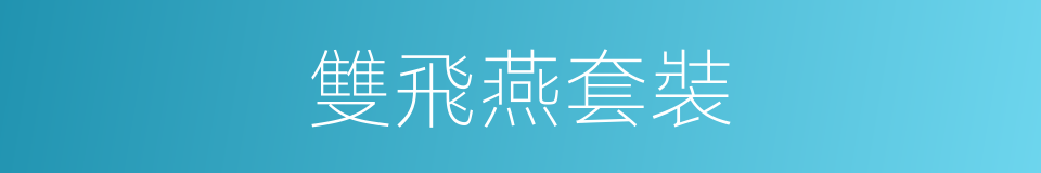 雙飛燕套裝的同義詞