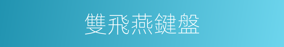 雙飛燕鍵盤的同義詞