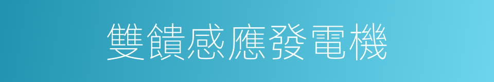 雙饋感應發電機的同義詞