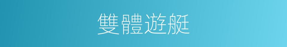 雙體遊艇的同義詞