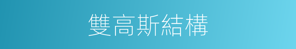 雙高斯結構的同義詞