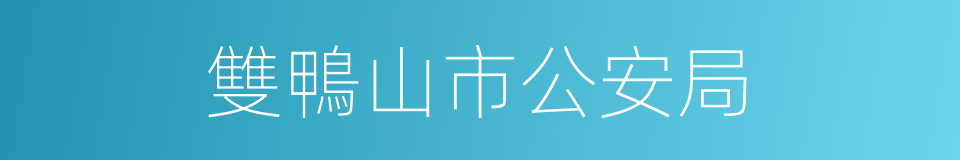 雙鴨山市公安局的同義詞