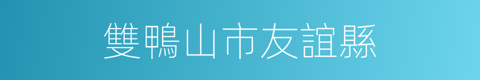 雙鴨山市友誼縣的同義詞