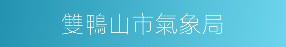 雙鴨山市氣象局的同義詞