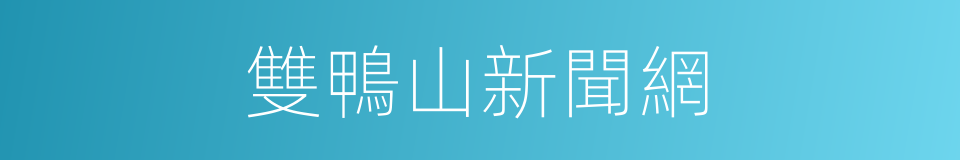 雙鴨山新聞網的同義詞