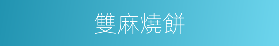 雙麻燒餅的同義詞