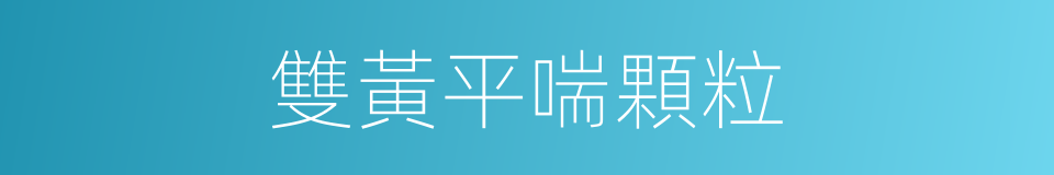 雙黃平喘顆粒的同義詞