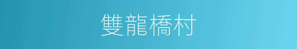 雙龍橋村的同義詞