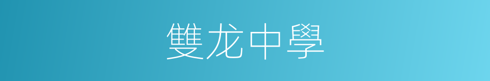 雙龙中學的同義詞