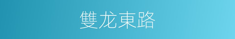 雙龙東路的同義詞