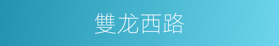 雙龙西路的同義詞