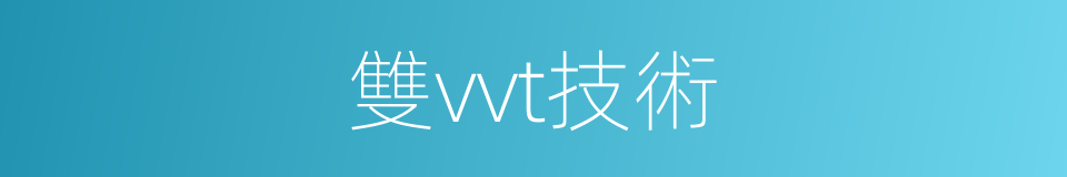 雙vvt技術的同義詞