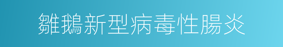 雛鵝新型病毒性腸炎的同義詞