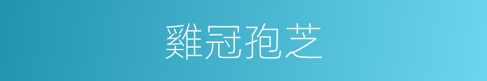 雞冠孢芝的同義詞