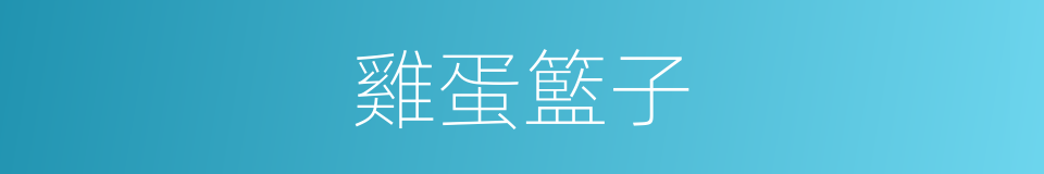 雞蛋籃子的同義詞