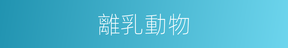 離乳動物的同義詞