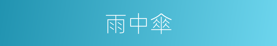 雨中傘的同義詞