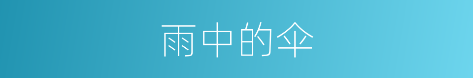 雨中的伞的同义词