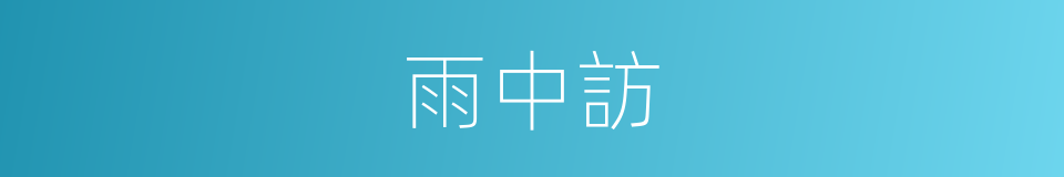 雨中訪的同義詞