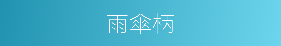 雨傘柄的同義詞