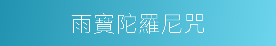 雨寶陀羅尼咒的同義詞