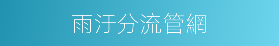雨汙分流管網的同義詞