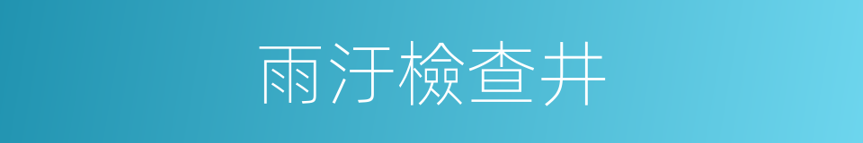 雨汙檢查井的同義詞