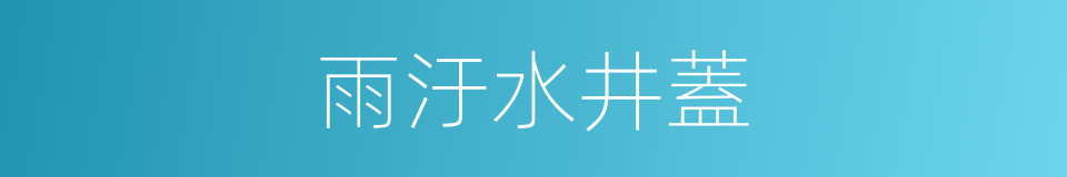 雨汙水井蓋的同義詞