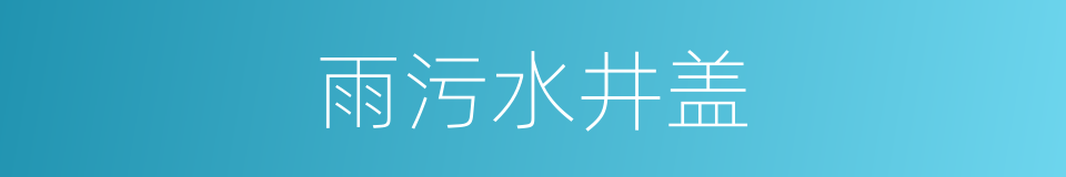 雨污水井盖的同义词