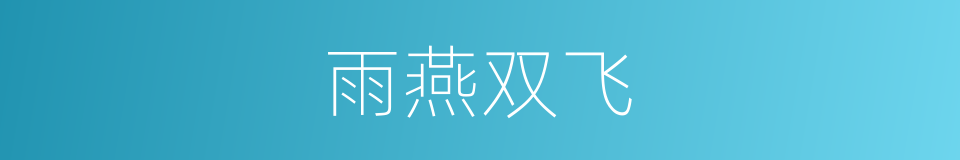 雨燕双飞的同义词