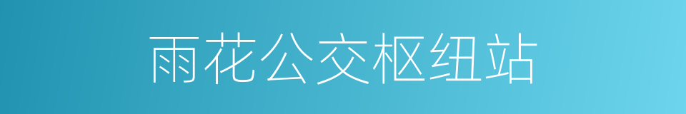 雨花公交枢纽站的同义词