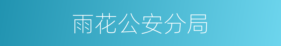 雨花公安分局的同义词