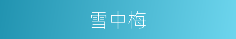 雪中梅的同义词
