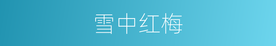 雪中红梅的同义词