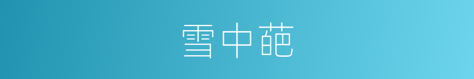 雪中葩的同义词