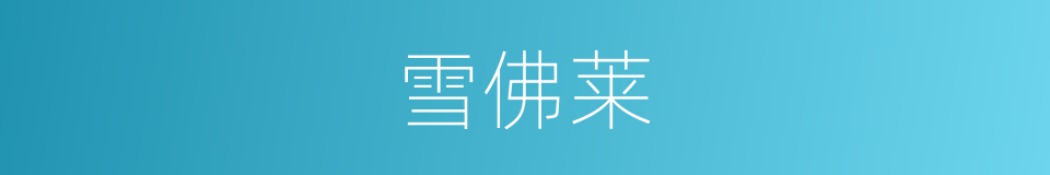 雪佛莱的同义词