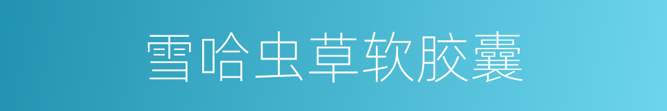 雪哈虫草软胶囊的同义词