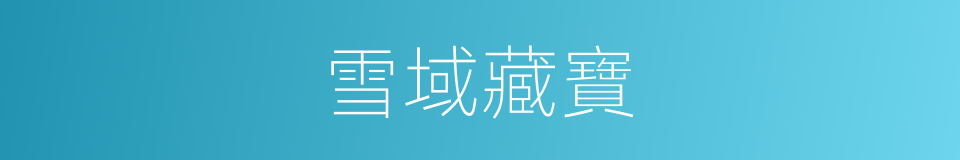 雪域藏寶的同義詞