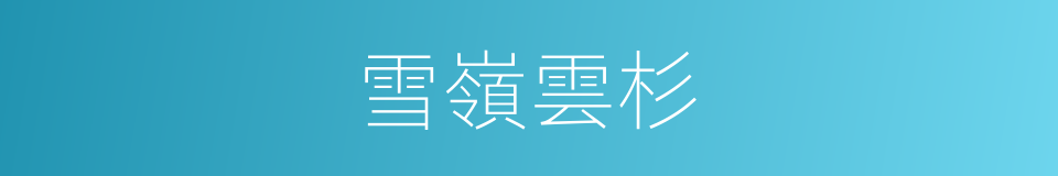 雪嶺雲杉的同義詞